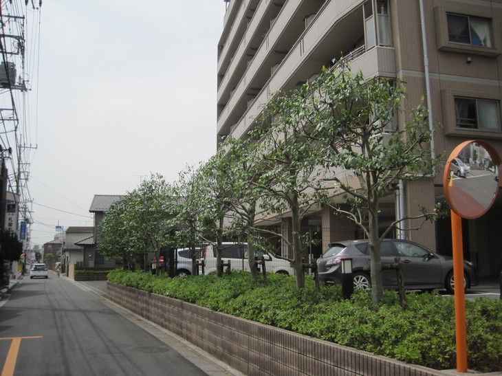 現行HPに掲載されている集合住宅・施設周辺の庭木写真
